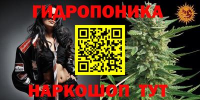 spice Мариинск