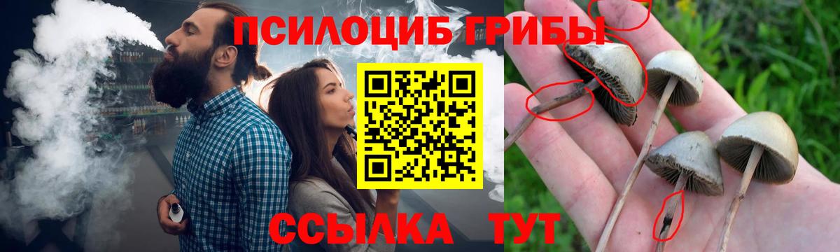 Псилоцибиновые грибы Psilocybe  Вход с VPN  Галлюциногенные грибы ЛСД  Урюпинск 